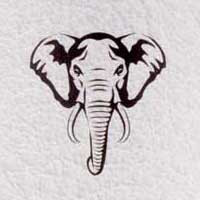 White Elephant